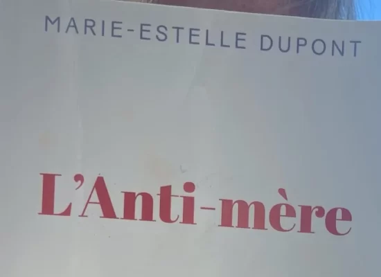 Couverture du livre "L'Anti-mère"