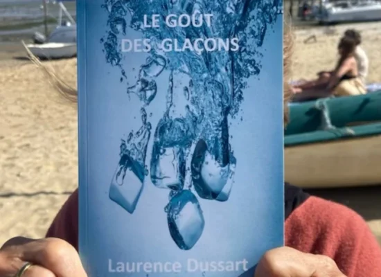 Couverture du livre "Le goût des glaçons"