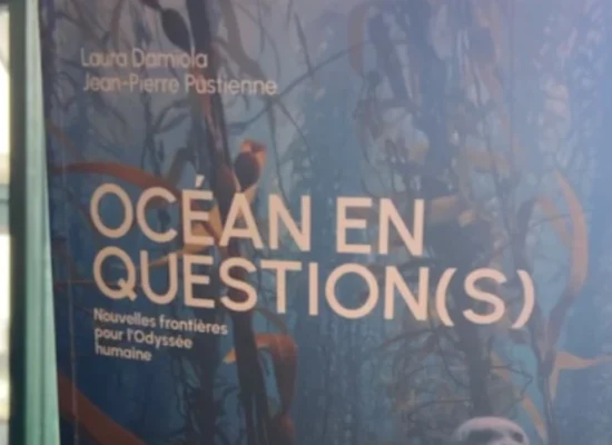 Couverture du livre "Océan en question(s)"