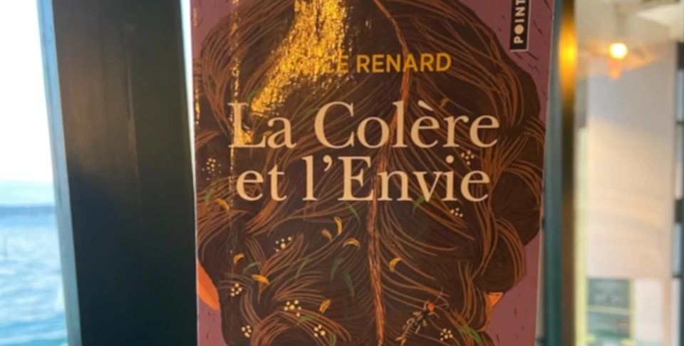 Couverture du livre "La colère et l’envie"