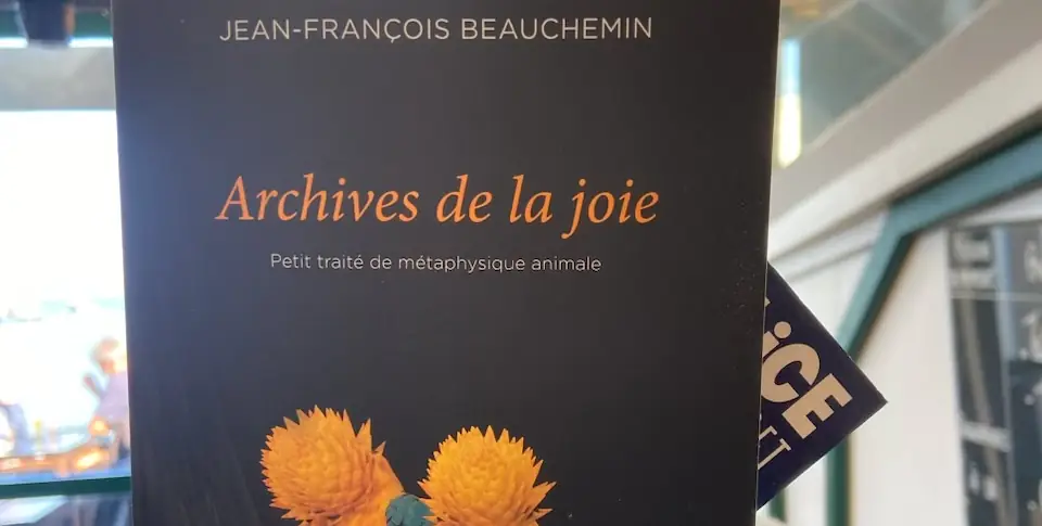 Couverture du livre "Archives de la joie"