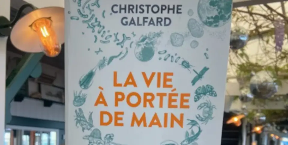 Couverture du livre "La vie à portée de main"