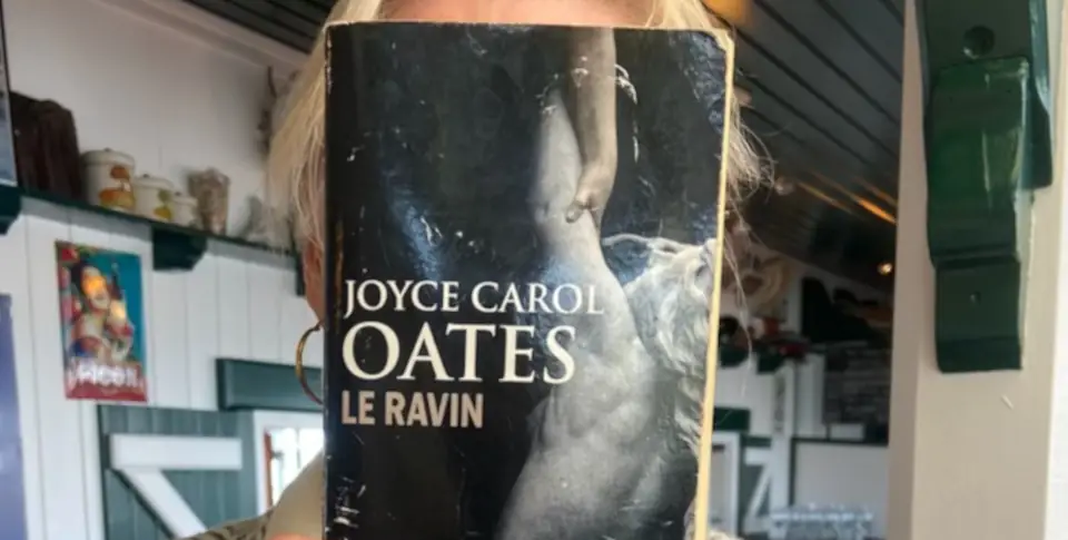 Couverture du livre "Le ravin"