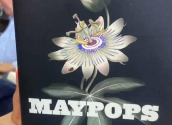 Couverture du livre "Maypops"
